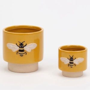 Bee planter pot set